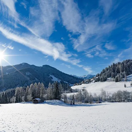 Mountain View Brunner 1 * Wildschoenau