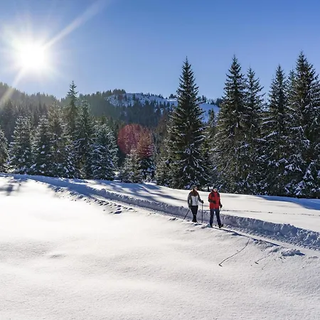 Mountain View Brunner 1 Wildschoenau