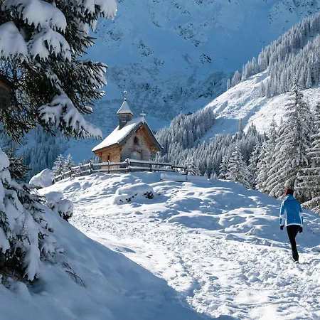 Mountain View Brunner 1 * Wildschoenau